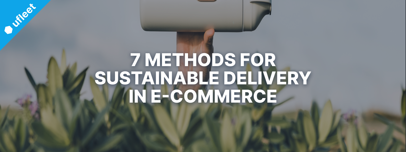 sustainable delivery in e-commerce