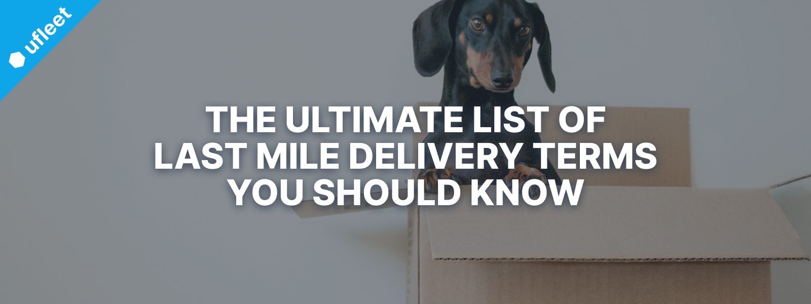 last mile delivery terms you should know